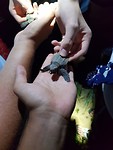 20180304_220733