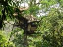Tree house