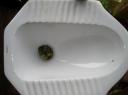 Toilet, heel makkelijk...