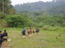 Hiken door de jungle