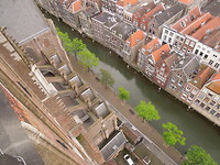 Best hoog