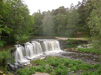 Waterval