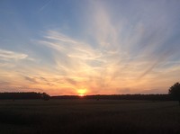 Ondergaande zon in Polen