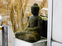 Rust roest of in die Ruhe liegt die Kraft