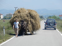 Onderweg in Albanië
