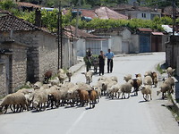 Onderweg in Albanië