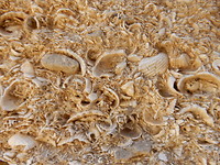 Detail bouwsteen Olympia