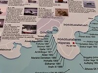IMG_0356