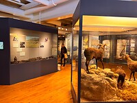 Museum Torshavn