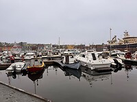 Drukke jachthaven in Torshavn