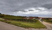 Deutsche Weinstraße