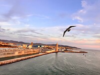 Aankomst Livorno