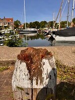 IMG_3166