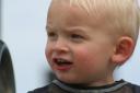 IMG_8074 (Medium)