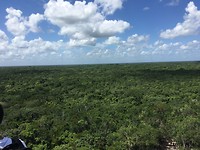 IMG_1330