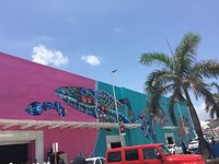 IMG_1374