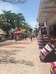 IMG_1375