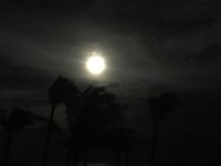 IMG_1434