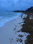 IMG_1471