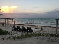 IMG_1492