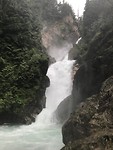 49E5E755-E934-43F1-8BC1-97A118809802