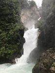 6A5F72CE-6B1B-4C65-9DCF-39BB25E965E3