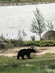B7769352-72A9-495B-8768-B65FD683D609