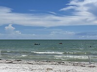 28A5211D-8653-47E9-883D-CB5D0D238468