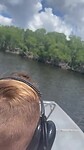 Mangrove airboat
