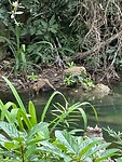 IMG_2566