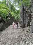 IMG_2534