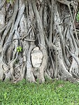 IMG_2647