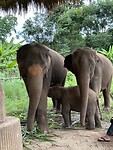 IMG_2774