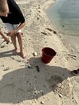 IMG_3105