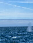 241c8e89-1bf2-492e-8caa-9c12cc66b1e6
