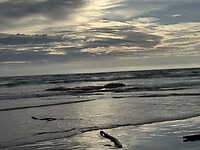 IMG_4795
