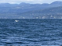 IMG_4772