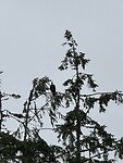 IMG_6467