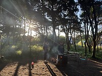 IMG_5005