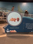 IMG_4984