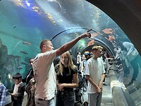 IMG_4980