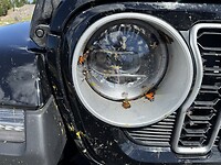 IMG_5121