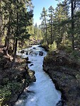 IMG_6582