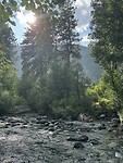 IMG_5205