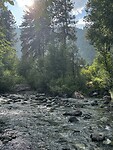 IMG_5203