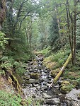 IMG_6620