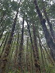 IMG_6622