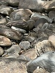 IMG_6612