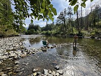 IMG_5228