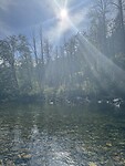 IMG_5234